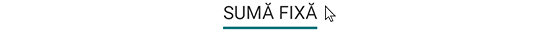 Facturare proiect sumă fixă 4