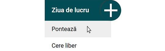 Adăugare pontaj 5